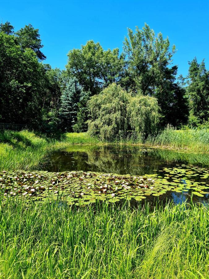 הוילה Czosnów Wrzosowe Siedlisko מראה חיצוני תמונה